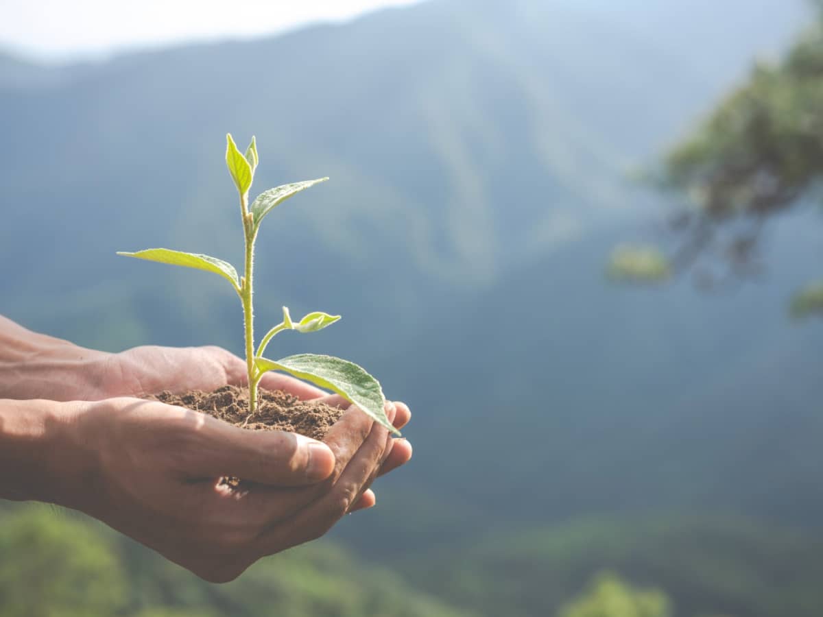 ESG Environmental (Lingkungan)