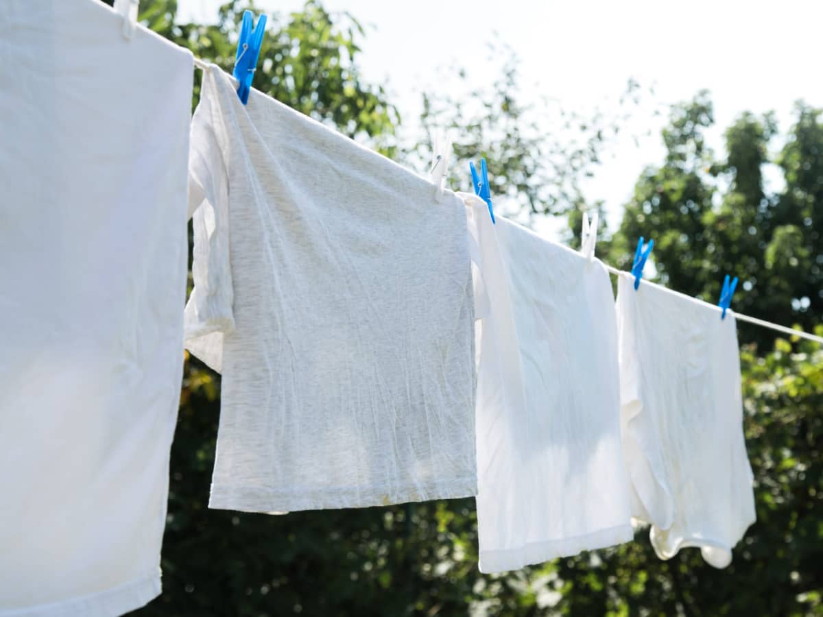 Proses Pengeringan Alami