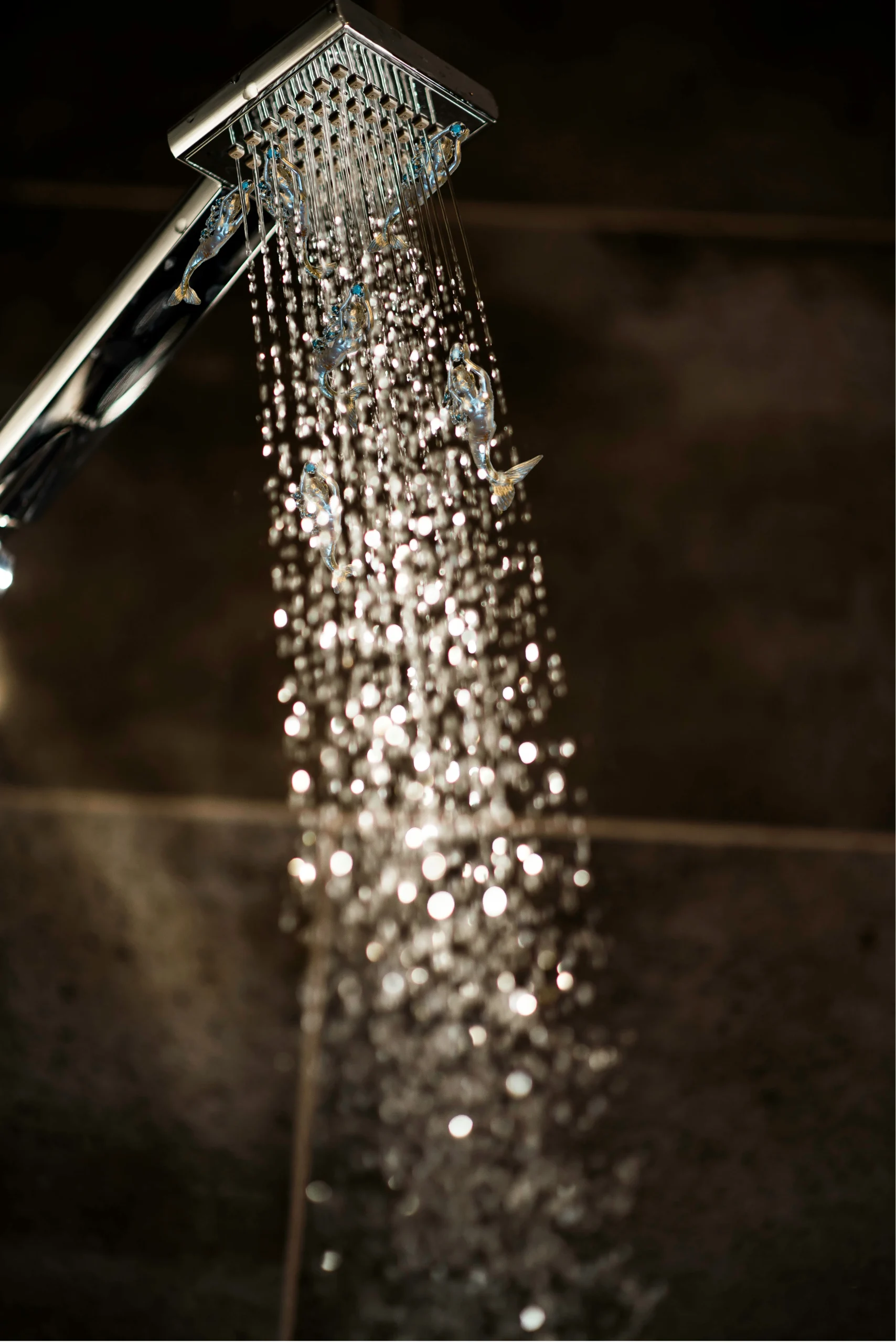 Kualitas Hidup shower