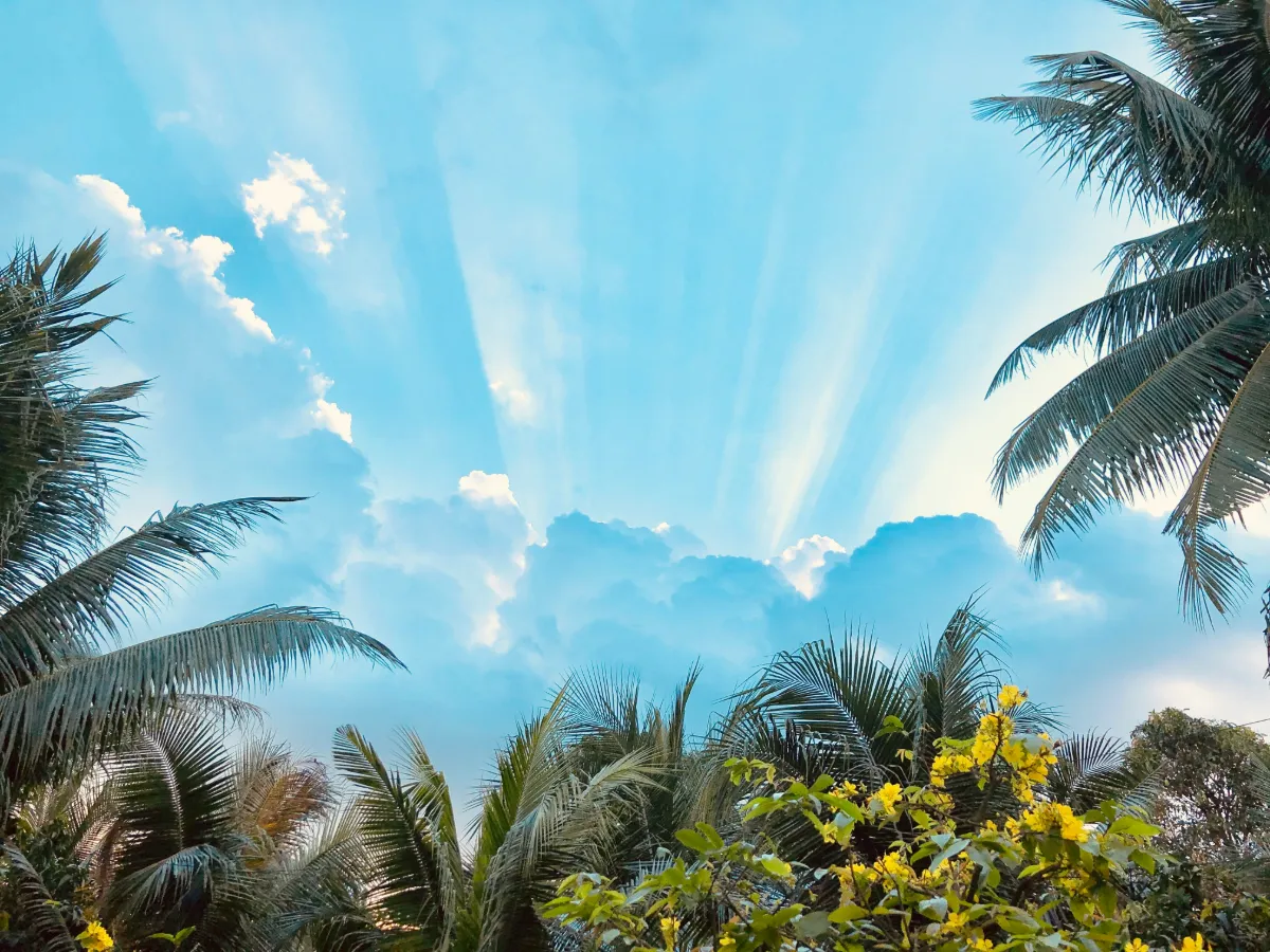 Alasan Solar Water Heater Layak Direkomendasikan Tropical Climate